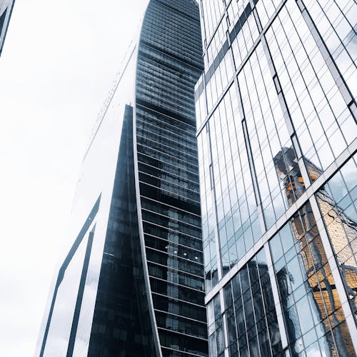 pexels-photo-12484148-1